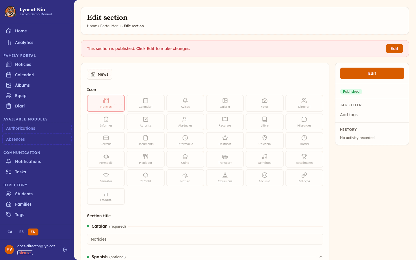 Section edit form showing icon grid, multi-language name fields and tag filter, director view